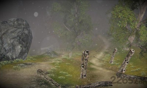 mtb下坡多人修改版(mtbdownhill)