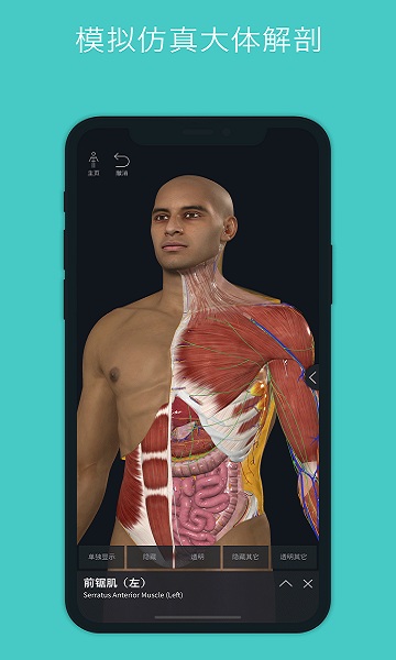 人体3d立体解剖软件