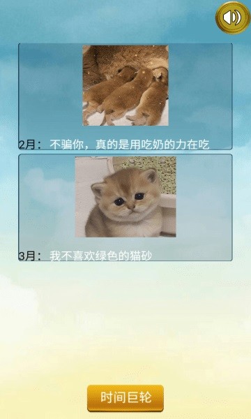 猫的一生重启模拟器游戏下载