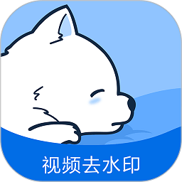 视频去水印专家软件