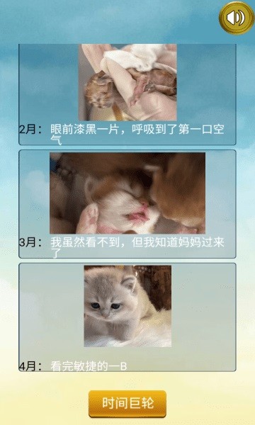 猫的一生重启模拟器小游戏