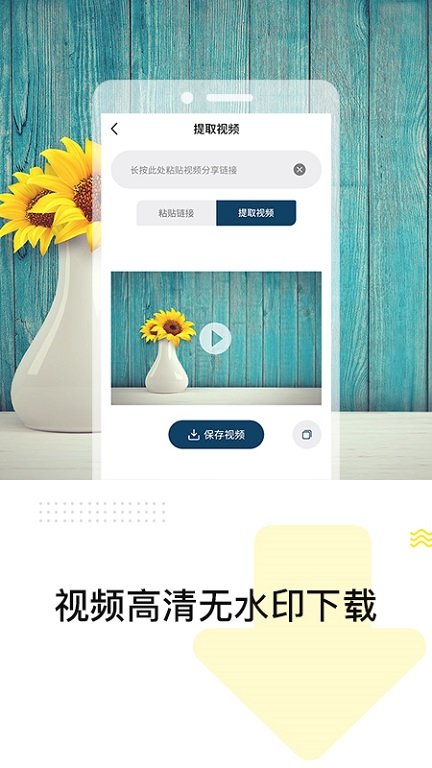 热门视频去水印软件