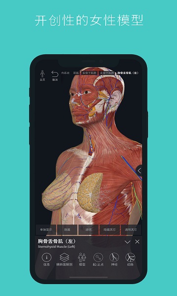 人体3D立体解剖软件安卓下载