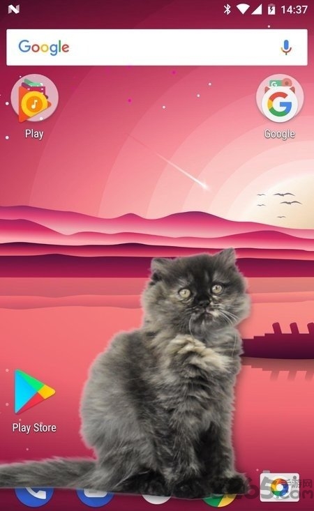 猫在手机屏幕上app