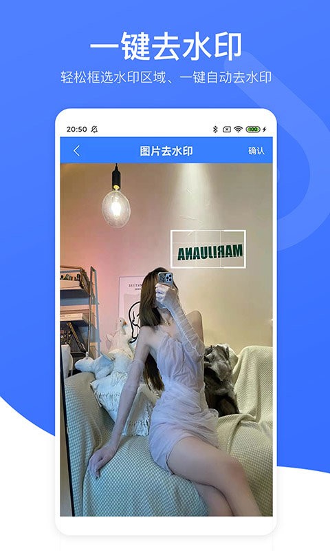 视频去水印专家软件