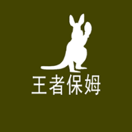 王者保姆软件(王者荣耀代练)