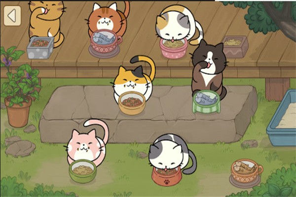 猫可爱极了最新版(cats adorable)
