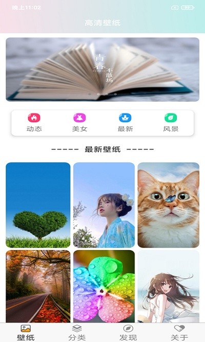 手机壁纸大全下载安装