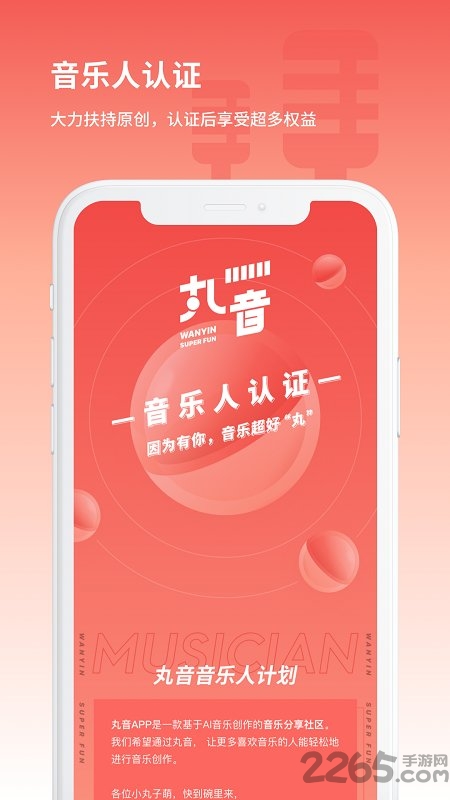丸音官方版
