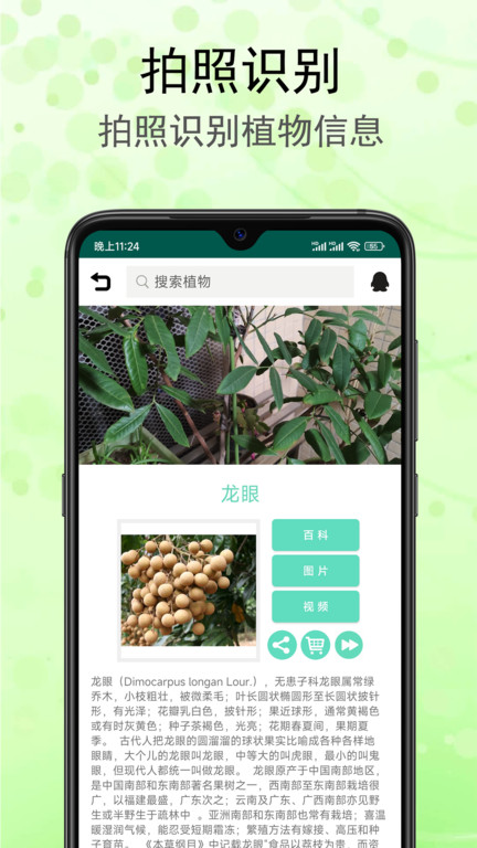 识花草app最新版