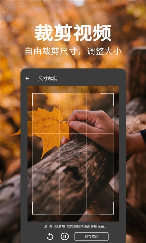 一键视频去水印免费软件
