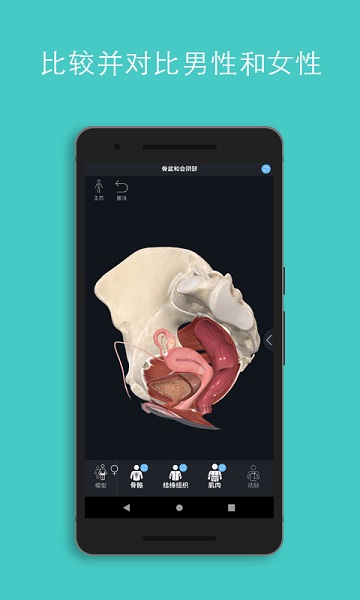 人体3d立体解剖软件