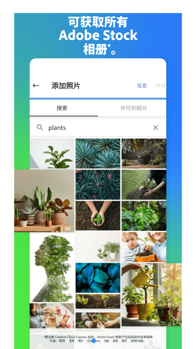 adobe express手机版