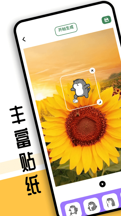sora视频工具软件