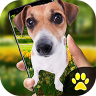 idog狗在屏幕上app