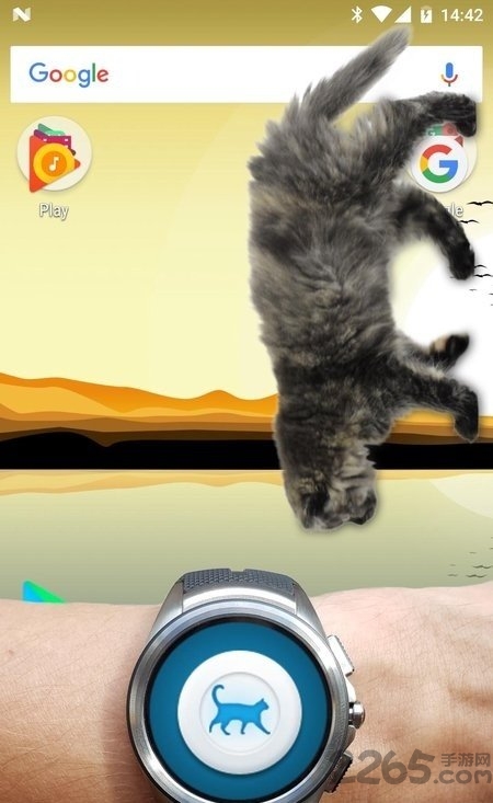 猫在手机屏幕上app