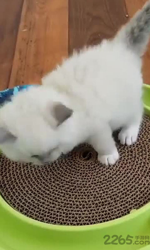 火秀视频助手app