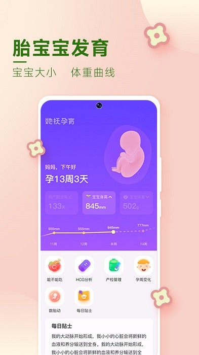 她抚孕育app