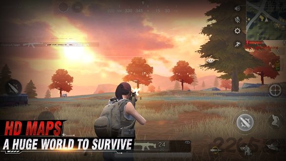 survivor royale网易版