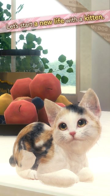 与我的猫咪中文版