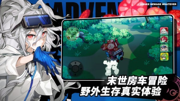 阿涅瓦官方
