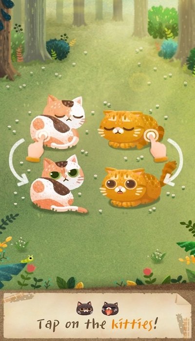 猫咪的秘密森林手机版
