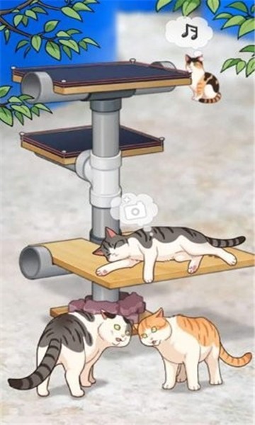 渔场猫咪最新版(fish farm cats)