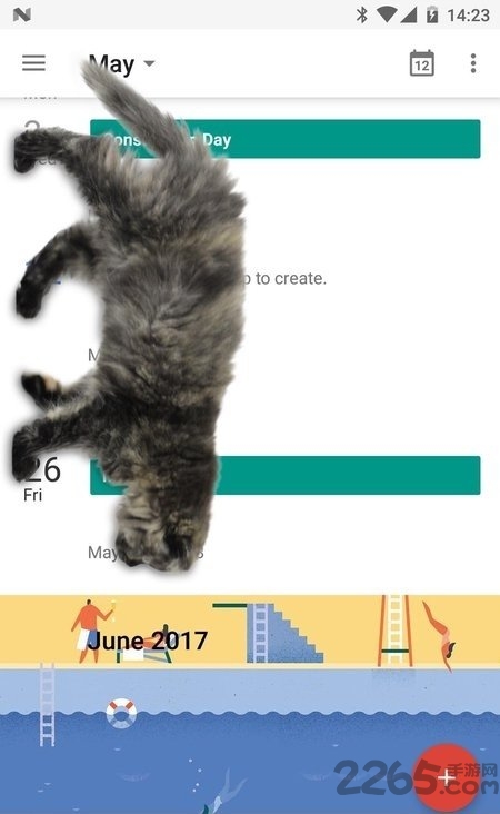 猫在手机屏幕上app