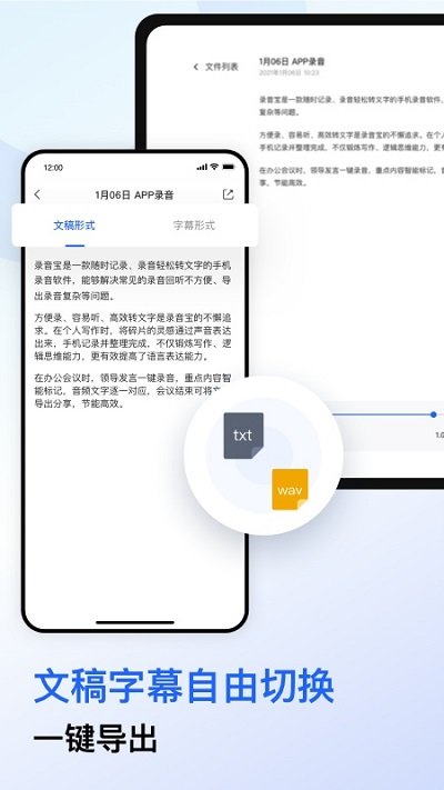 录音宝转文字助手软件