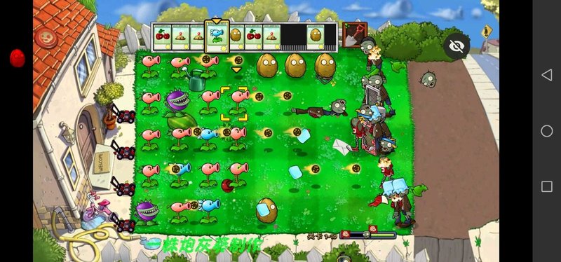 pvz小葵花版游戏