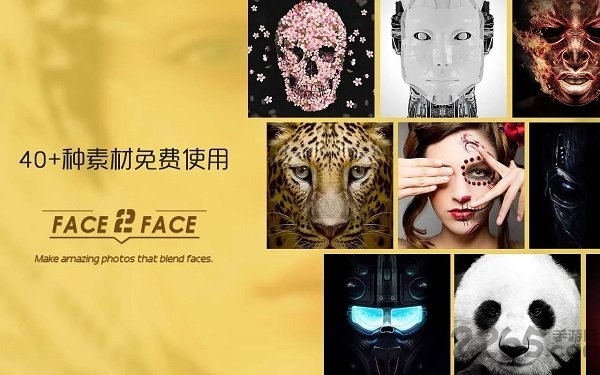 face2face软件中文版下载