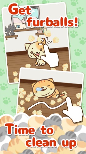 猫咪的毛中文版