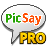 picsaypro完美汉化版