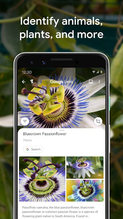 google lens app下载