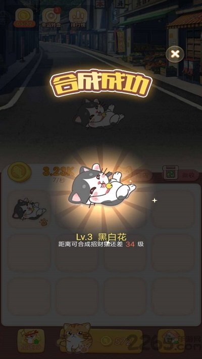 点点猫咖最新版