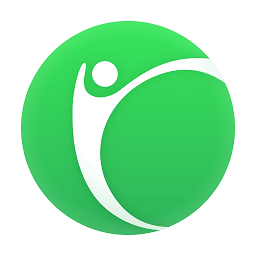 凯立德安卓车镜版apk