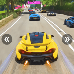 car race pro最新版(方程式游戏大师赛车)