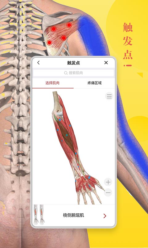 3dbody历史版本下载