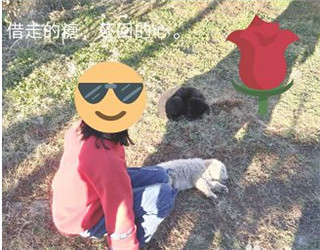 Pixellab如何制作头像教程