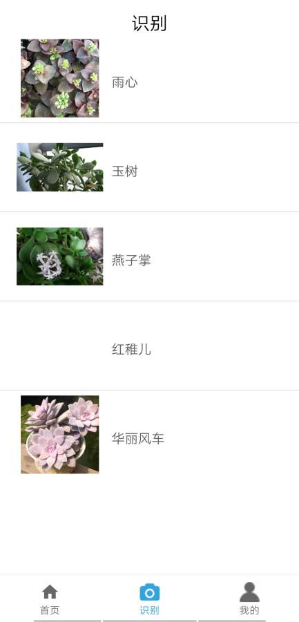 植物伴侣app