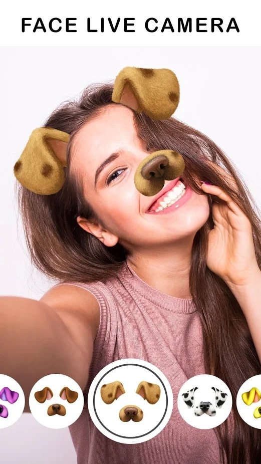 faceart app
