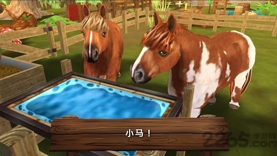 可爱动物旅馆游戏