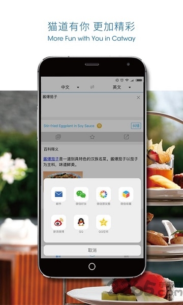 猫道app下载