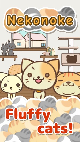 猫咪的毛中文版