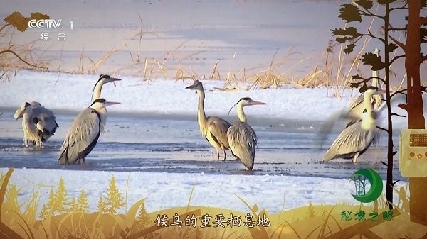 电视+1软件下载