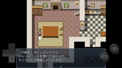 前卫的rpg2单机版