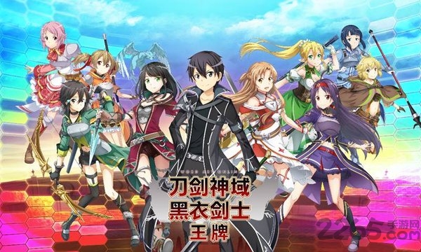 刀剑神域黑衣剑士王牌日服
