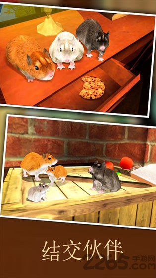 疯狂地鼠3d模拟游戏