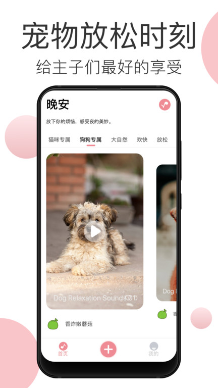 宠物音乐软件