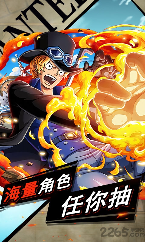 热血海贼团变态版